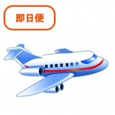 airplane.gif