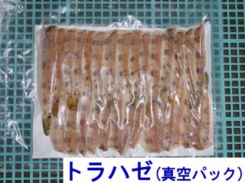 9012_torahaze.JPG