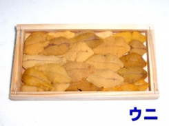 8500_uni.JPG